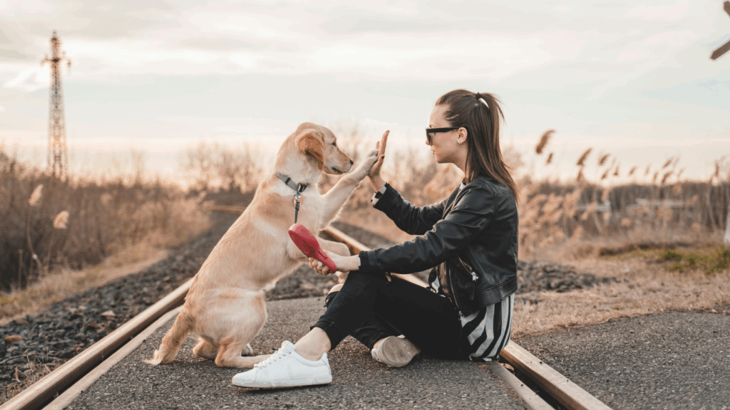 What is a Niche? 5 Examples of Print on Demand niche ideas 1